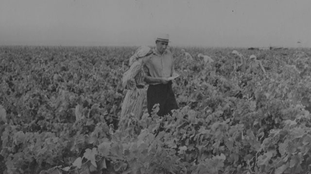 3-1 век до н.э. 3-1 век до н.э.